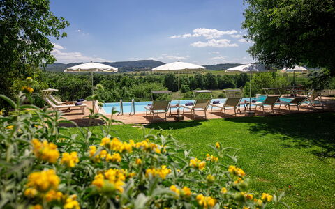 Villa Santa Barbara, Pool and Relax, Siena Country: Resort, Gartenmöbel, Garten, Schwimmbad, Eco Hotel, Schatten, Landscaping, Sonnenliege, Estate, Plantage