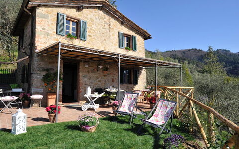 Oliveta: Hütte, Hinterhof, Stuhl, Garten, Tisch Im Freien, Gartenmöbel, Veranda, Bauernhaus, Zimmerpflanze, Fahrrad