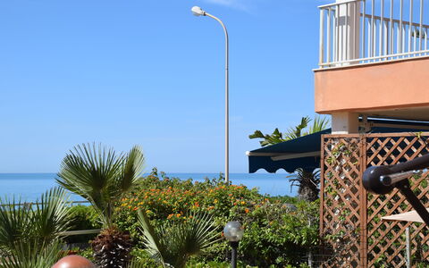 Il Favollo: Meer, Ozean, Küsten Und Ozeanische Forms, Küste, Schatten, Urlaub, Blumentopf, Tropen