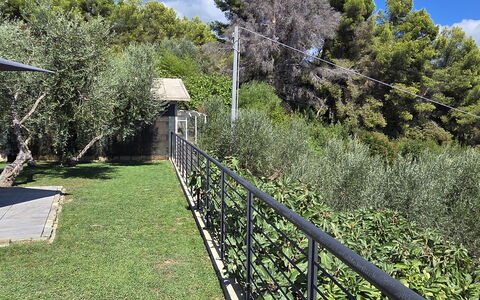 Villa Pineta della Rovere: Strauch, Garten, Zaun, Schatten, Geländer, Landscaping, Hinterhof, Home Fechten