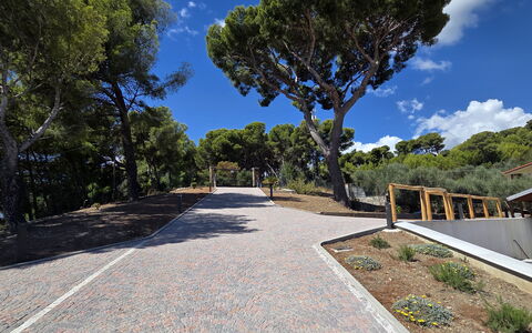 Villa Pineta della Rovere: Baum, Öffentlicher Raum, Walkway, Steigung, Schatten, Landscaping, Auffahrt, Pfad, Treppe, Weg