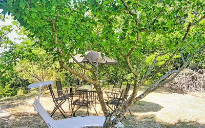 Archi 6: Blatt, Ast, Gartenmöbel, Frühling, Tisch Im Freien, Gehölz, Schatten, Garten, Zweig, Hinterhof