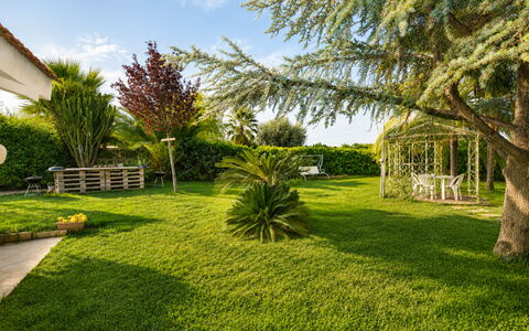 Il Cigno Reale Green: Gras, Baum, Grün, Blatt, Vegetation, Garten, Strauch, Landschaft, Rasen