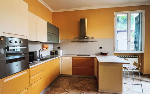 Daisy: Küche, Countertop, Interior Design, Küchengerät, Flooring, Major Appliance, Cabinetry, Holz, Fussboden, Möbel