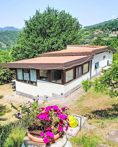 La Casa di Menny: Möbel, Gartenmöbel, Stuhl, Garten, Holzbeize, Rasen, Hartholz, Schatten, Hinterhof