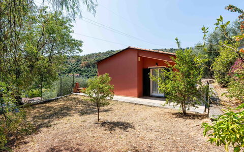 Orto di Silvia: Blatt, Landschaft, Grundstueck, Ländliches Gebiet, Steigung, Schatten, Gartenbauten, Bauernhaus