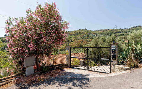 Orto di Silvia: Strauch, Garten, Zaun, Pole, Landscaping, Home Fechten