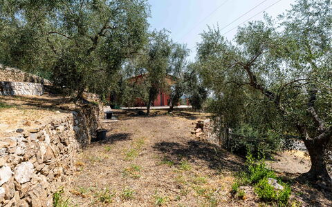 Orto di Silvia: Baum, Blatt, Ast, Kofferraum, Boden, Gehölz, Landscaping, Weg, Hinterhof