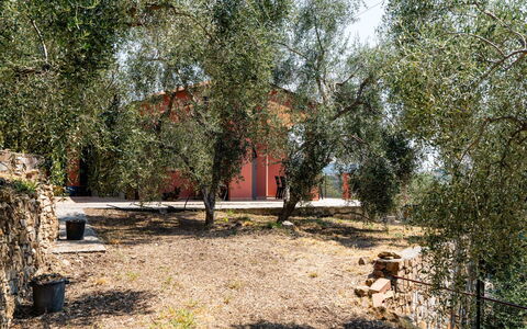 Orto di Silvia: Baum, Blatt, Ast, Menschliche Siedlung, Kofferraum, Gehölz, Zweig, Schatten, Hinterhof, Garten