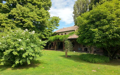 Villa Dorina: Baum, Blatt, Strauch, Rasen, Garten, Hütte, Estate, Hinterhof, Bauernhaus