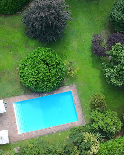 Villa Dorina: Schwimmbad, Strauch, Garten, Rasen, Landscaping, Hinterhof, Garten, Freizeit, Resort, Schatten