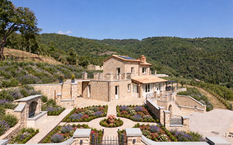 Villa Maddalena alla Guglielmesca: Strauch, Estate, Garten, Landscaping, Hütte, Bauernhaus, Villa, Villa, Dorf, Hazienda