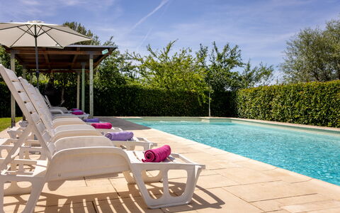 Il Cipresso, Casa Martina, Cortona: Schwimmbad, Gartenmöbel, Möbel, Verbundwerkstoff, Garten, Schatten, Resort, Regenschirm, Landscaping, Stuhl