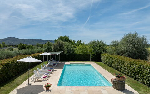 Il Cipresso, Casa Martina, Cortona: Schwimmbad, Garten, Resort, Verbundwerkstoff, Gartenmöbel, Landscaping, Schatten, Estate, Hazienda, Eco Hotel