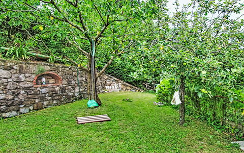 Cà Olivella: Möbel, Küche & Esszimmer Tisch, Stuhl, Fussboden, Meer, Balkon, Ozean, Resort, Eco Hotel, Esszimmer