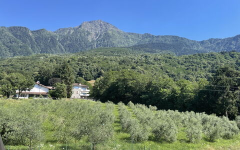 Aura: Bergforms, Berg, Hügel, Vegetation, Hochland, Bergstation, Gebirge, Landschaft, Pflanzengemeinschaft, Ökoregion