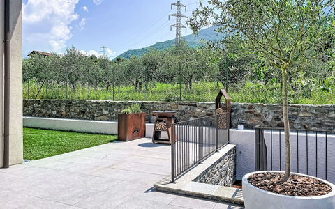 Aura: Garten, Beton, Schatten, Flagstone, Landscaping, Hinterhof, Walkway, Garten, Hof, Auffahrt