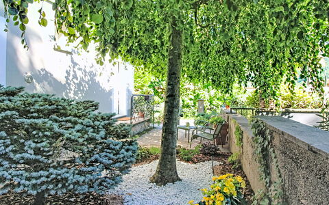 Boscolago: Blatt, Grün, Vegetation, Strauch, Garten, Ground, Frühling, Gehölz, Schatten, Zweig