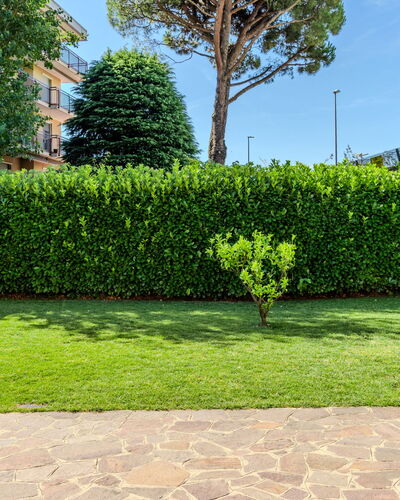 Villa Giulia: Grün, Strauch, Hecke, Garten, Ground, Rasen, Landscaping, Schatten, Walkway, Kunstrasen