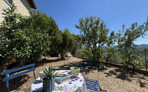 Il Fienile, Garden and Peacefull View: Strauch, Landschaft, Garten, Frühling, Schatten, Stuhl, Landscaping, Blumentopf, Garten