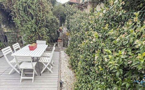 Colazza 100: Strauch, Garten, Frühling, Landscaping, Schatten, Hecke, Zaun, Home Fechten, Walkway, Hinterhof