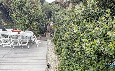 Colazza 100: Strauch, Garten, Frühling, Schatten, Landscaping, Zaun, Botanischer Garten, Home Fechten, Hecke