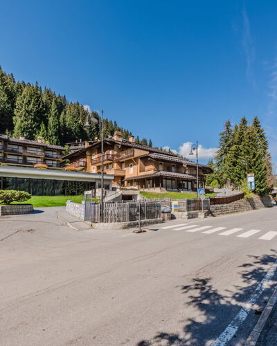 Presanella: Gebäude, Haus, Wohngebiet, Dach, Menschliche Siedlung, Dorf, Vorort, Bergdorf, Lärche, Pfad