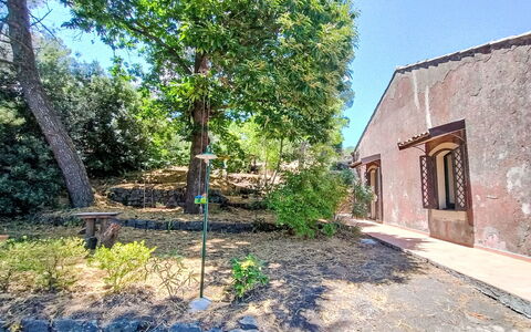 Il Giardino di Lara: Baum, Blatt, Ast, Vegetation, Strauch, Schatten, Garten, Gehölz, Landscaping