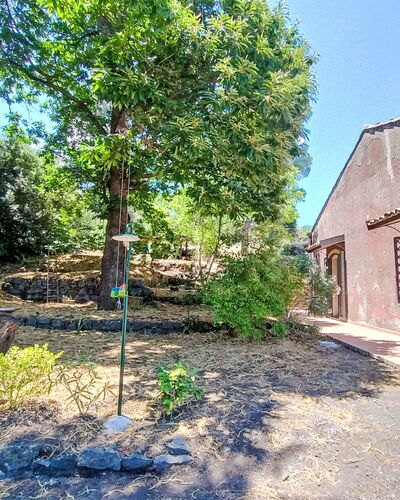 Il Giardino di Lara: Baum, Blatt, Ast, Vegetation, Strauch, Schatten, Garten, Gehölz, Landscaping