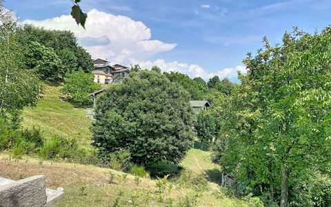 Baita Melissa: Baum, Blatt, Grün, Vegetation, Strauch, Pflanzengemeinschaft, Ländliches Gebiet, Ground, Garten, Frühling