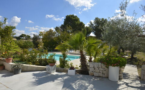 La Dimora di Diana: Strauch, Schatten, Garten, Landscaping, Blumentopf, Flagstone, Garten, Gartenmöbel, Design