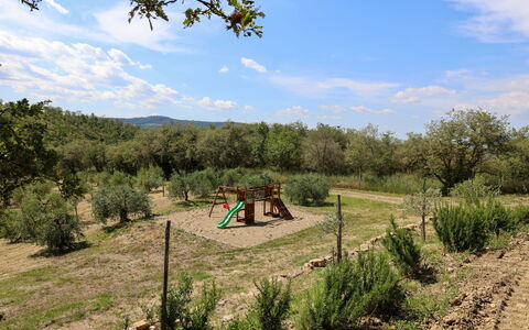 La Calcinaia Country Villa, Bucine: Baum, Vegetation, Landschaft, Pflanzengemeinschaft, Ländliches Gebiet, Grundstueck, Einfach, Boden, Shrubland, Weide