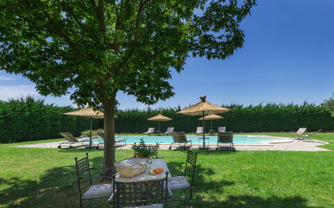 Villa Augusto 10: Gartenmöbel, Schwimmbad, Garten, Rasen, Schatten, Landscaping, Tisch Im Freien, Resort, Garten, Hinterhof