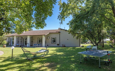 Villa Rasena 6: Baum, Gras, Haus, Zuhause, Wohngebiet, Estate, Hütte, Rasen, Bauernhaus