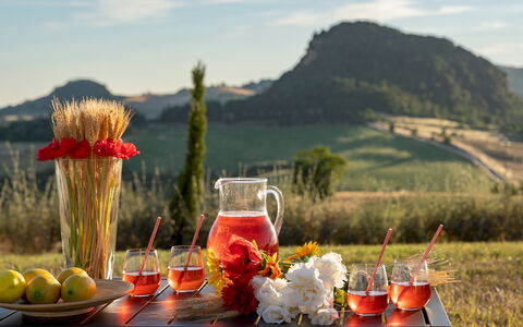 Il Poggiarellone 14: Geschirr, Essen, Drinkware, Servierware, Zutat, Barware, Kelche