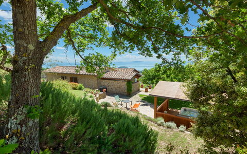 Antiche Pietre 10: Hütte, Haus, Strauch, Zuhause, Ländliches Gebiet, Bauernhaus, Garten, Estate, Gartenbauten