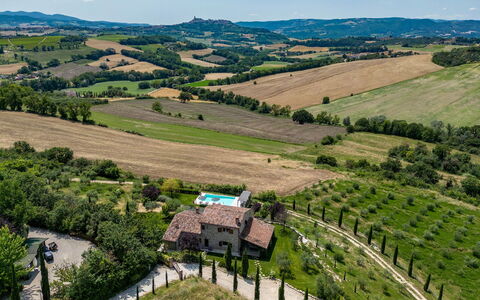 Casale dei Gelsomini 8: Ländliches Gebiet, Landschaft, Grundstueck, Einfach, Plantage, Feld, Vogelperspektive, Estate, Dorf, Hütte
