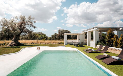 White Stone House 6+1: Schwimmbad, Estate, Garten, Rasen, Landscaping, Schatten, Hazienda, Villa, Hinterhof, Garten