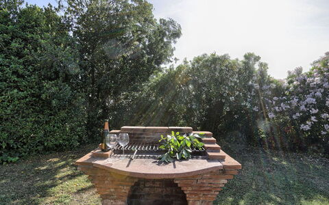 Virginia 8: Holz, Strauch, Garten, Gartenmöbel, Kofferraum, Landscaping, Außenbank, Tisch Im Freien, Hinterhof, Park