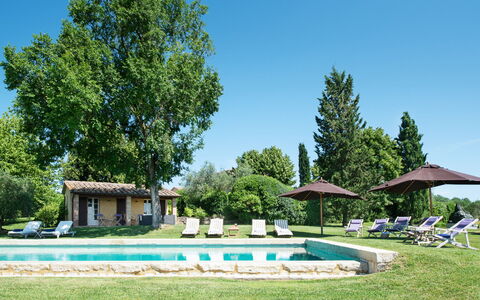 Podere Gragnano 12: Baum, Gras, Strauch, Grundstueck, Rasen, Garten, Zuhause, Estate, Hütte