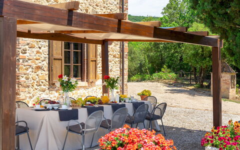 Terripi 10: Schatten, Möbel, Garten, Blumentopf, Outdoor Struktur, Tisch Im Freien, Terrasse, Gartenmöbel, Pergola, Markise