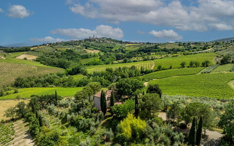 Villa Caterina 8: Natürliche Landschaft, Landschaft, Ländliches Gebiet, Einfach, Wiese, Plantage, Grundstueck, Feld, Landwirtschaft, Bergstation