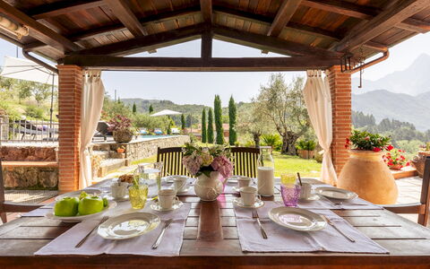 Villa Costanza 6: Möbel, Tabelle, Stuhl, Küche & Esszimmer Tisch, Interior Design, Esszimmer, Decke, Restaurant, Tisch Im Freien, Blumentopf