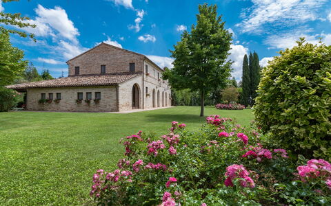 Villa Ambrah 12+1: Gras, Baum, Strauch, Landschaft, Garten, Einfach, Rasen, Estate, Garten