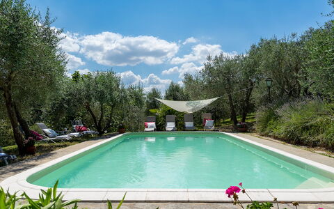 Villa Fiorentini 10: Schwimmbad, Gartenmöbel, Garten, Hinterhof, Stuhl, Garten, Landscaping, Resort, Schatten, Hazienda