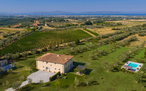 Villa Il Meluccio 12: Gras, Einfach, Landschaft, Wiese, Ländliches Gebiet, Grundstueck, Feld, Plantage, Estate, Wiese