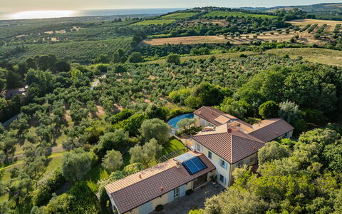 Villa le Cave 12: Sommer, Ländliches Gebiet, Grundstueck, Estate, Wiese, Plantage, Garten, Weide, Landscaping