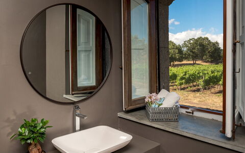 Villa Terre Normanne 10: Interior Design, Spiegel, Armatur, Zapfhahn, Installation, Bad Sink, Sinken, Servierware, Badezimmer, Light Fixture
