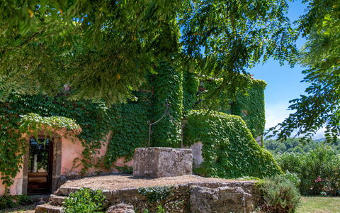 Villa Terre Normanne 10: Grün, Wand, Blatt, Natur, Vegetation, Strauch, Garten, Ground, Steinwand, Schatten