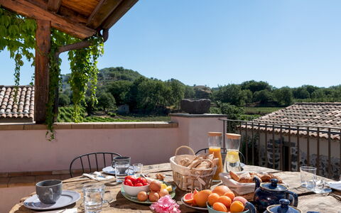 Villa Terre Normanne 10: Möbel, Stuhl, Gartenmöbel, Blumentopf, Küche & Esszimmer Tisch, Zimmerpflanze, Tisch Im Freien, Balkon, Villa, Hof